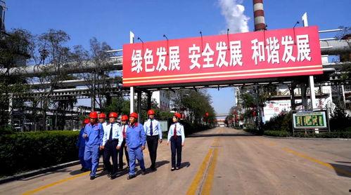 精品国产自在先拍所有,自在先拍，引领潮流